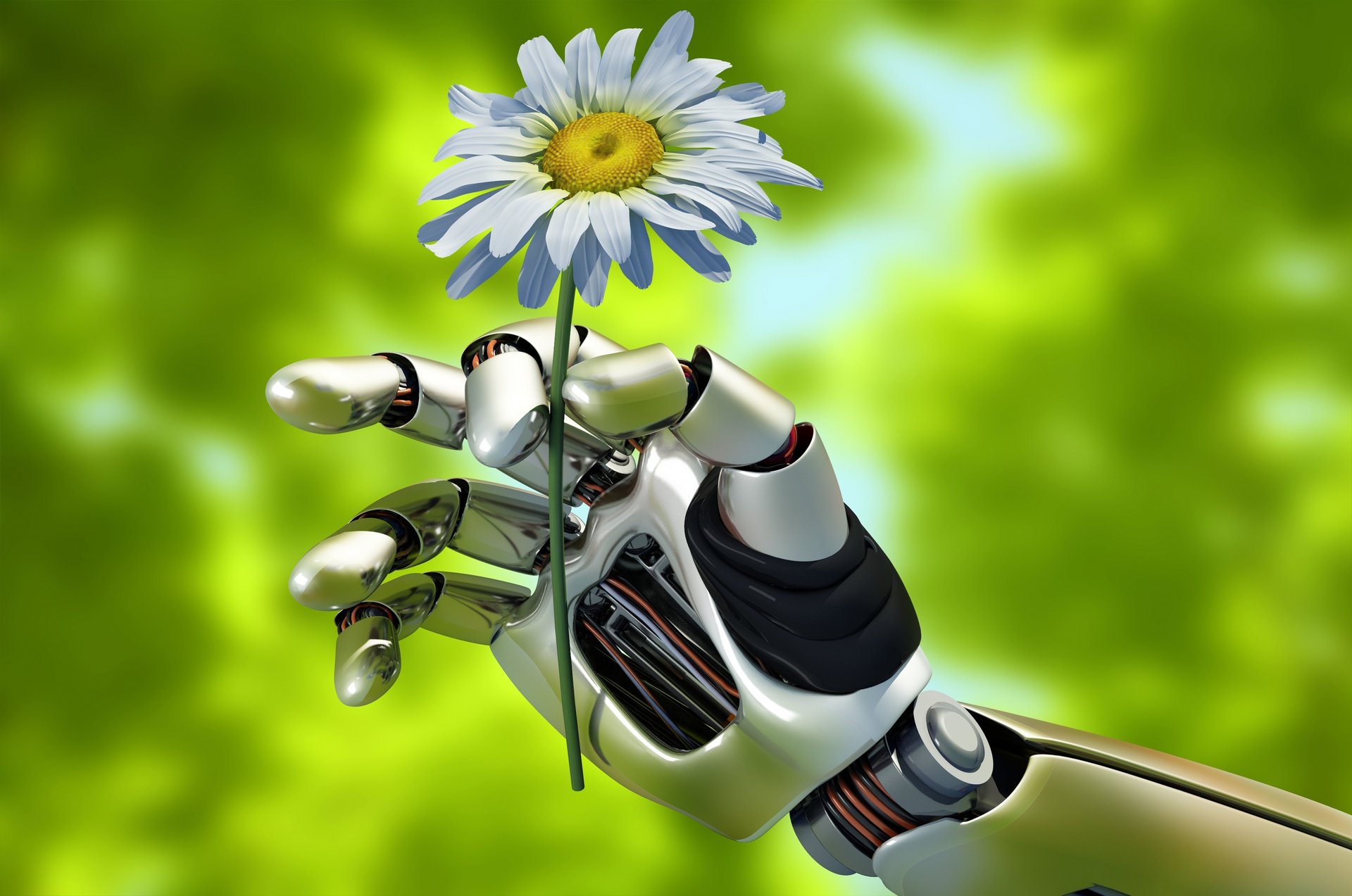 hallo-tech technologie roboter android android mechanismus natur sommer hand geste hält gänseblümchen schöner hintergrund grüner hintergrund unschärfe bokeh makro tapete