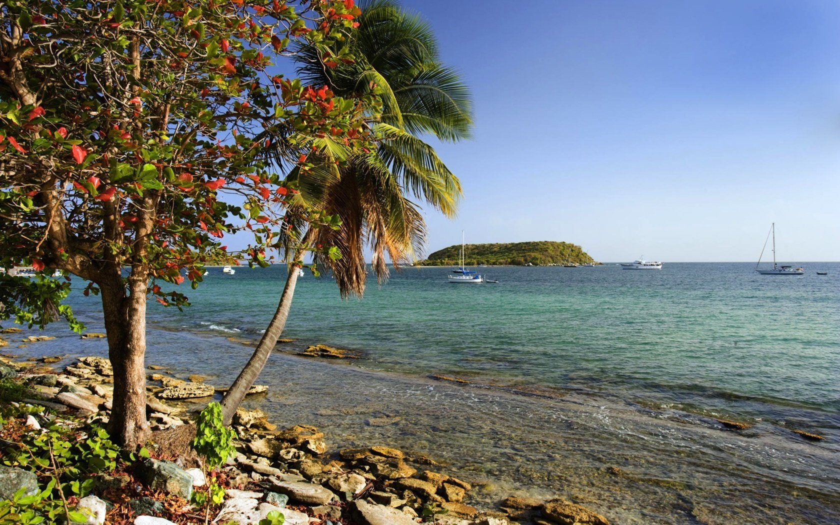 pequeña bahía yates guijarros en el fondo mar brisa isla palma sol horizonte verano paraíso nubes surf agua costa cielo