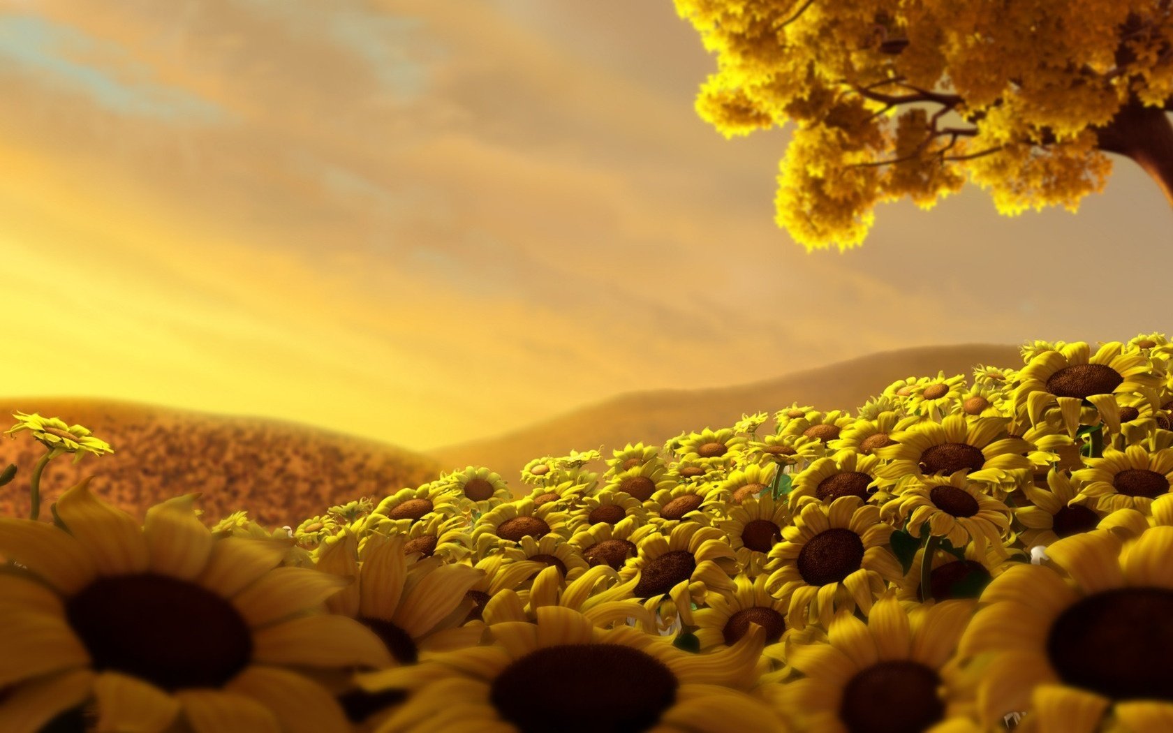 yellow light flowers field of sunflowers leave