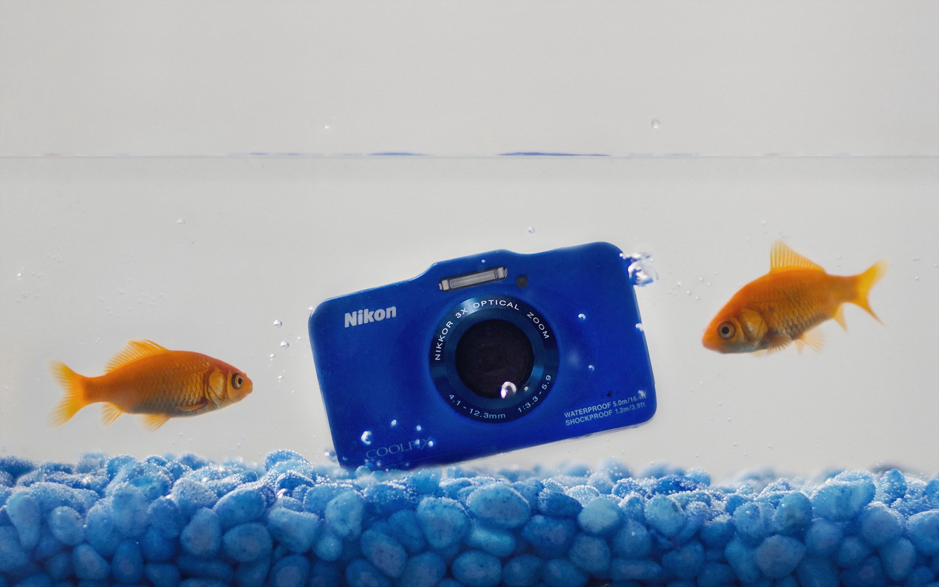 nikon the camera water fish