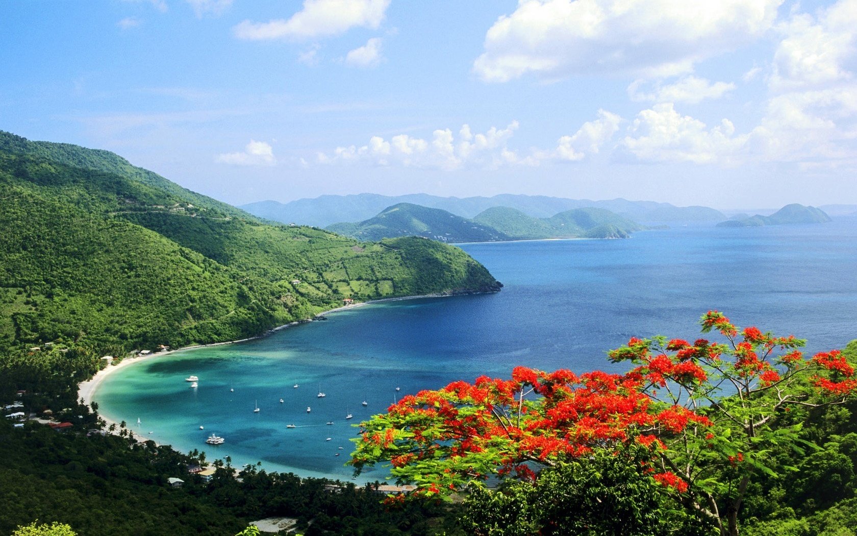 flowers bay red flowers green mountains water sky mountains sea bay view landscape yachts vacation resort