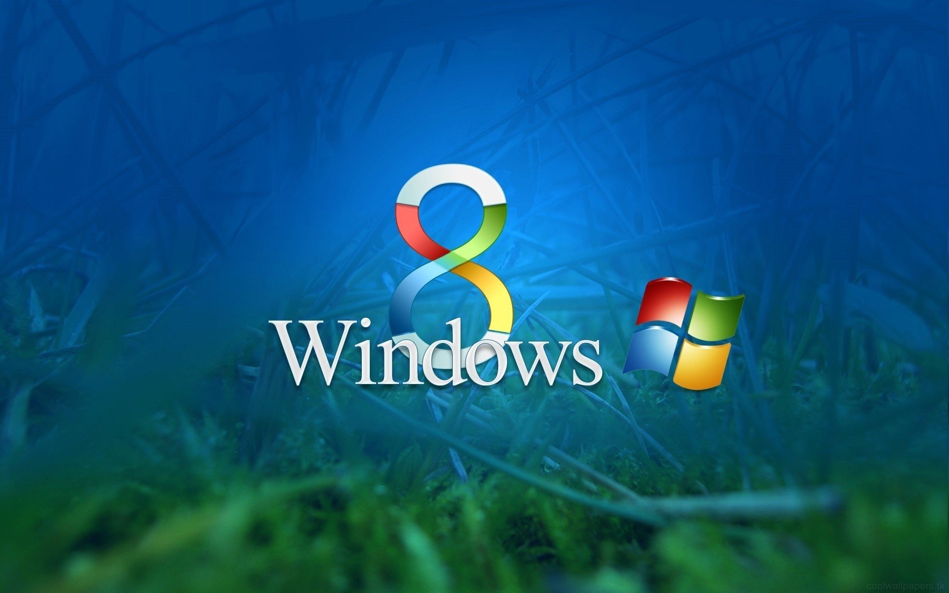 windows 8 finestre erba sfondo