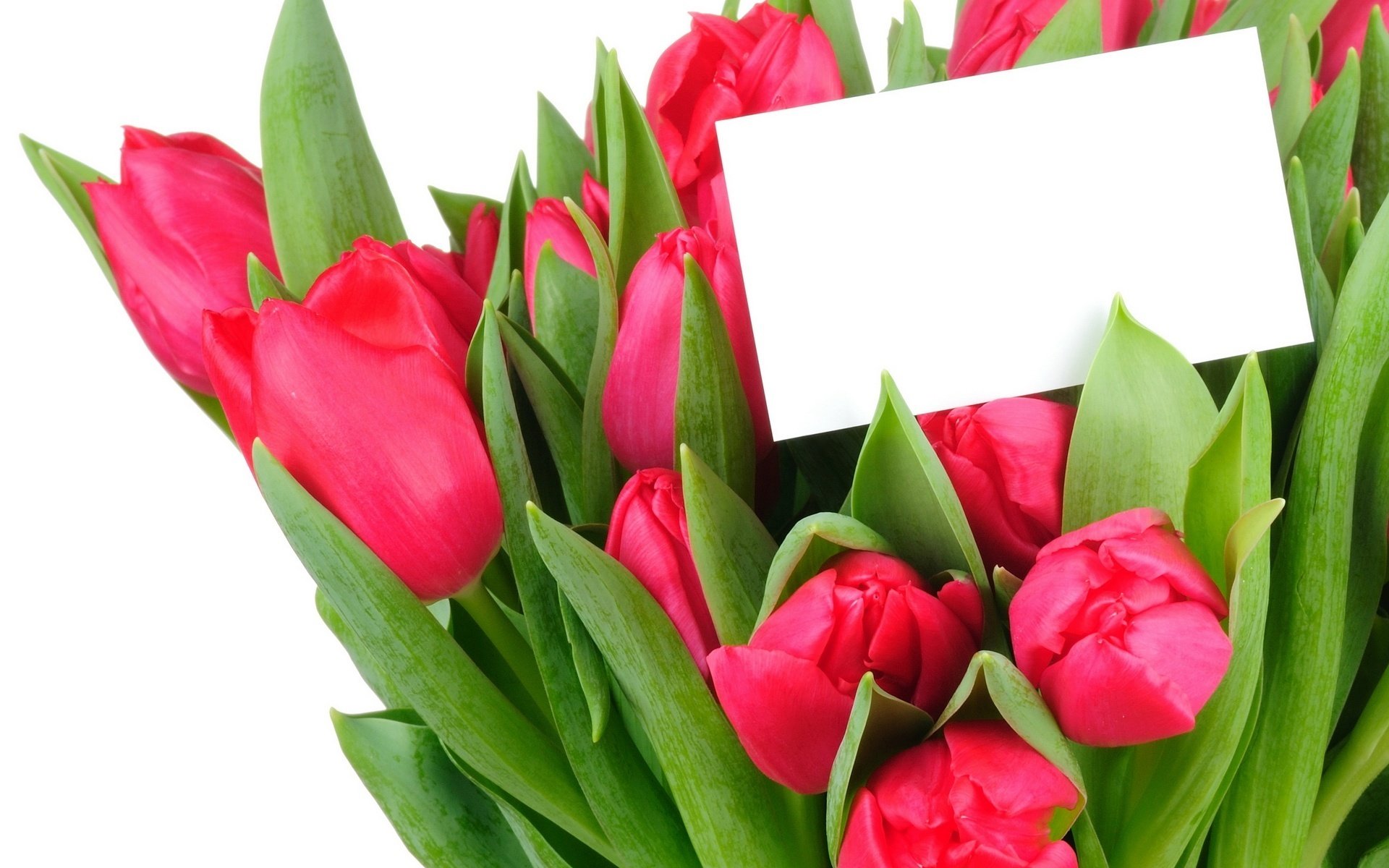 blumenstrauß des frühlings blumen botschaft tulpen blumenstrauß