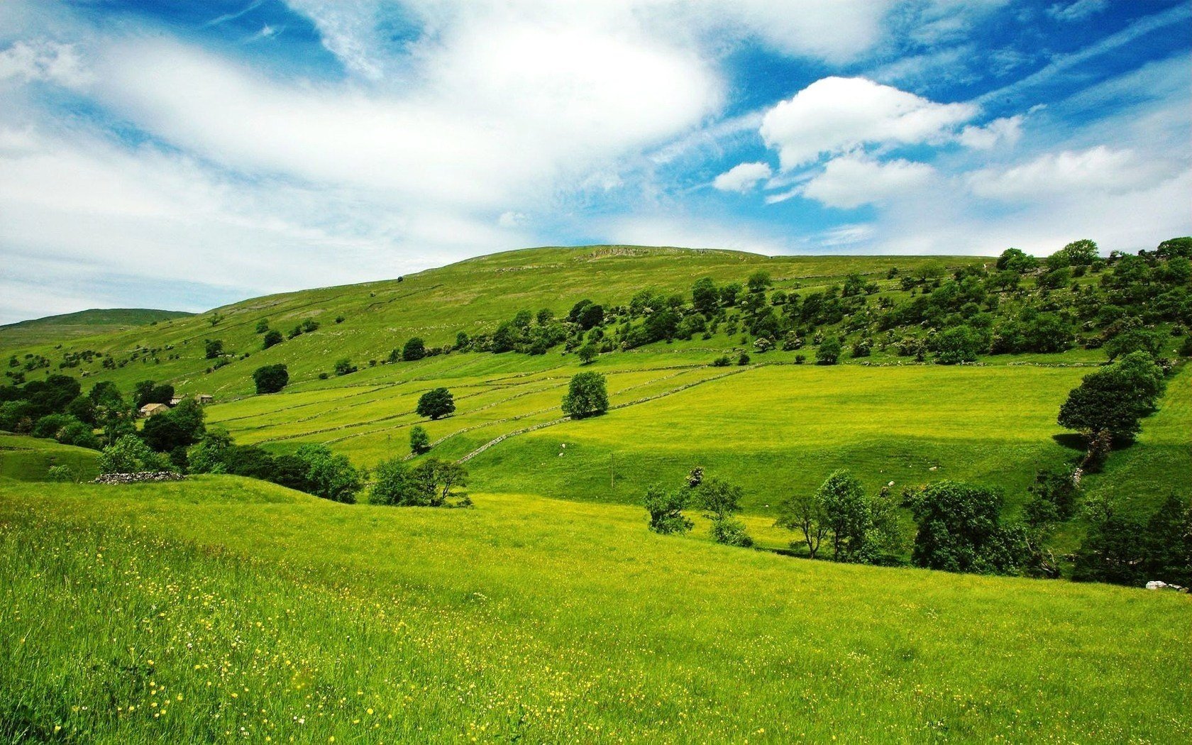 huts steppe flowers kulbabs field hills fluffy foliage greenery sky mountains trees landscape calm clouds grass bushes clouds sunny day green serenity tranquility pigeon