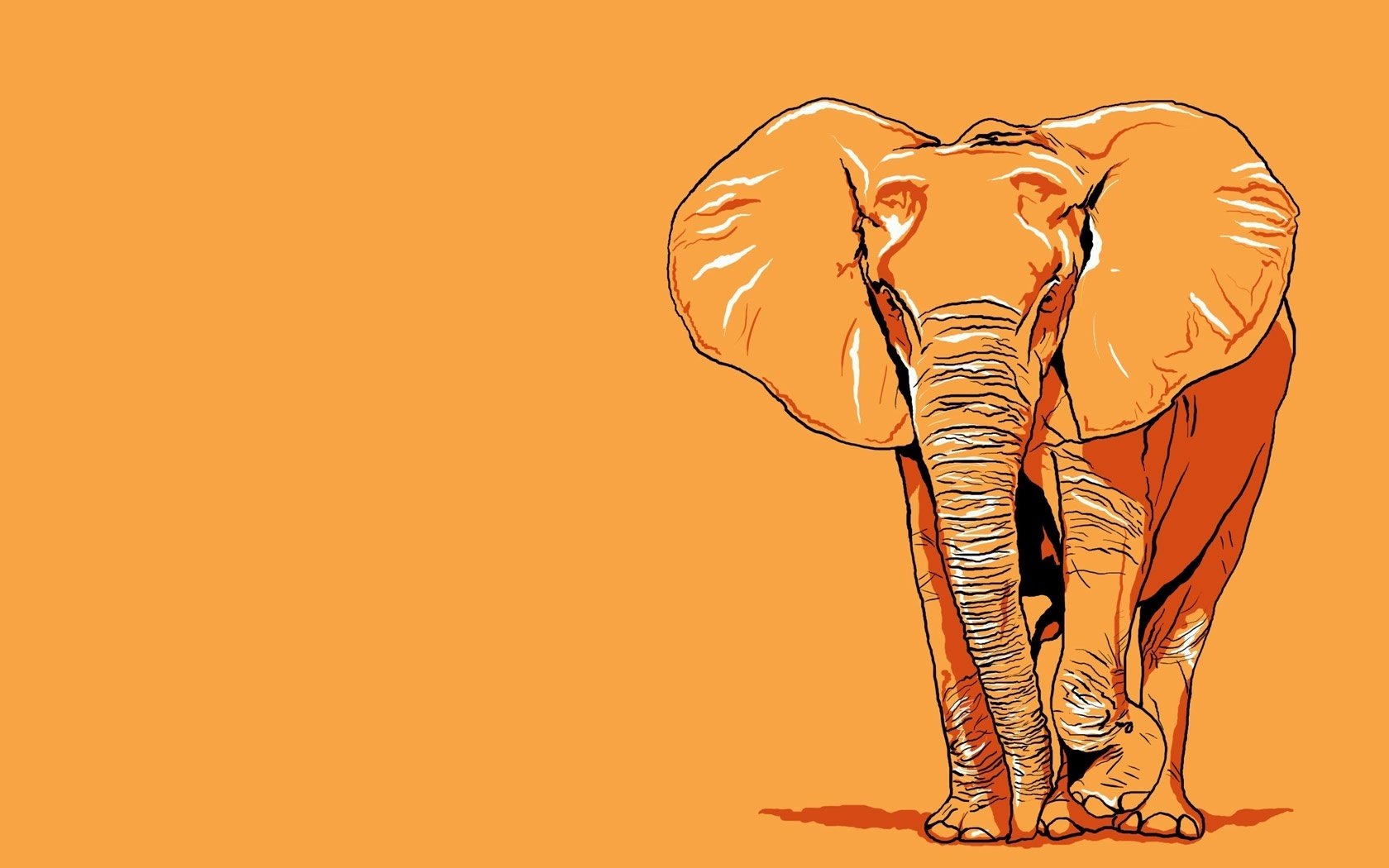 elephant pencil drawing orange background drawings anime graphics orange