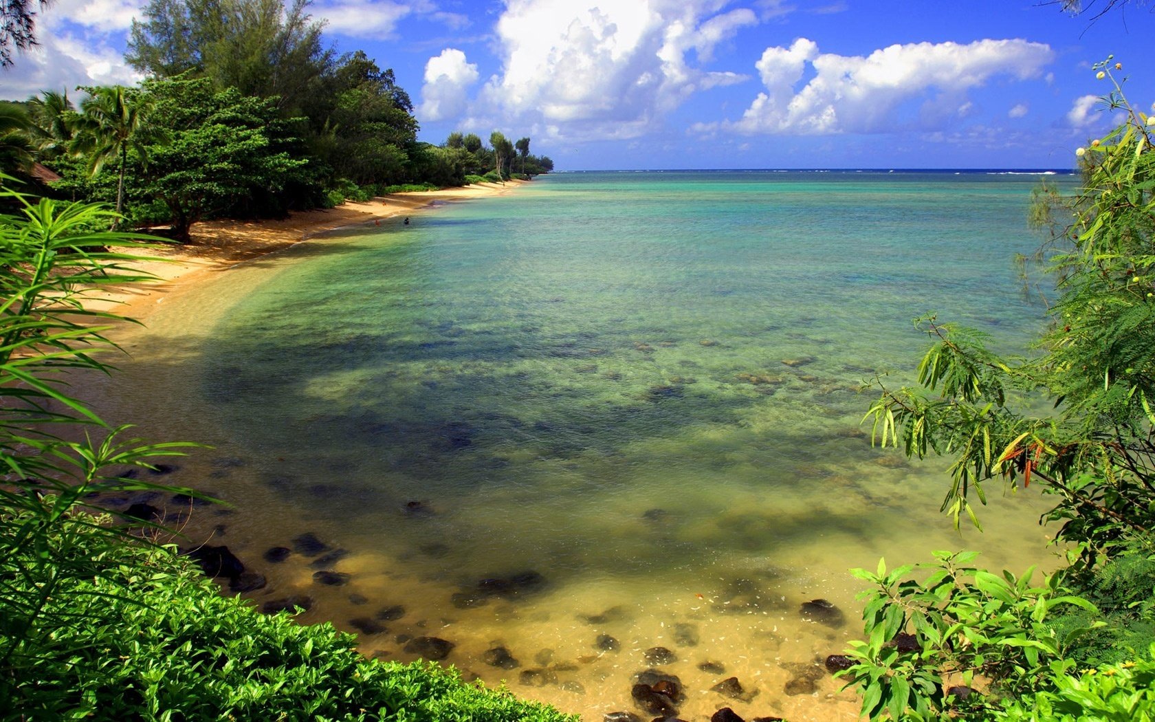 lugar elegante costa salvaje bahía playa agua cielo costa mar puerto bahía paisaje naturaleza plantas vegetación surf silencio relax tranquilidad nubes descanso