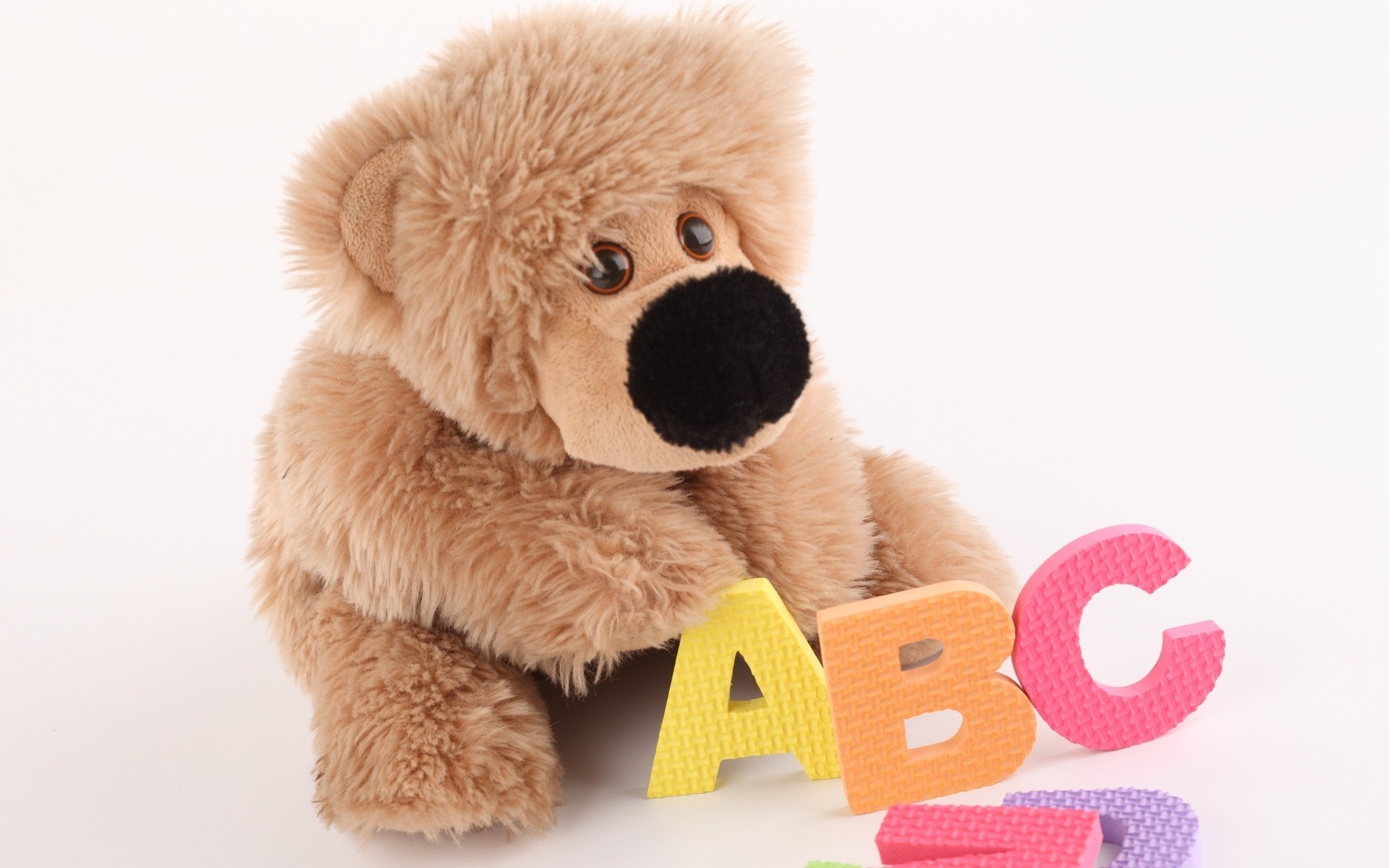 juguetes para niños juguete suave abc juguetes letras fondo nariz oso de peluche ojos