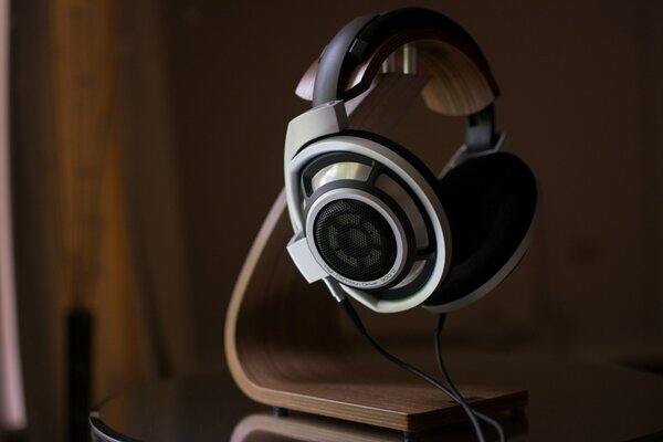 Sennheser HD800 headphones on a stand