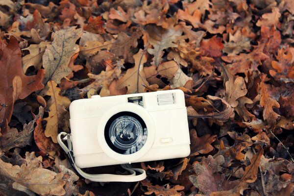 Fotocamera bianca sullo sfondo dell autunno