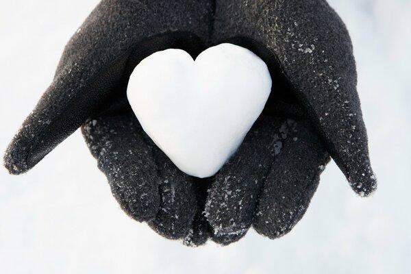 Coeur blanc de neige dans les paumes