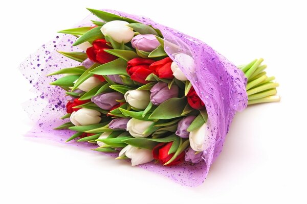 Bukiet tulipanów zamknięte pąki, kolorowe kwiaty