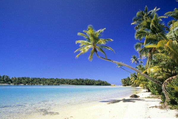 Raj na białej plaży wśród palm