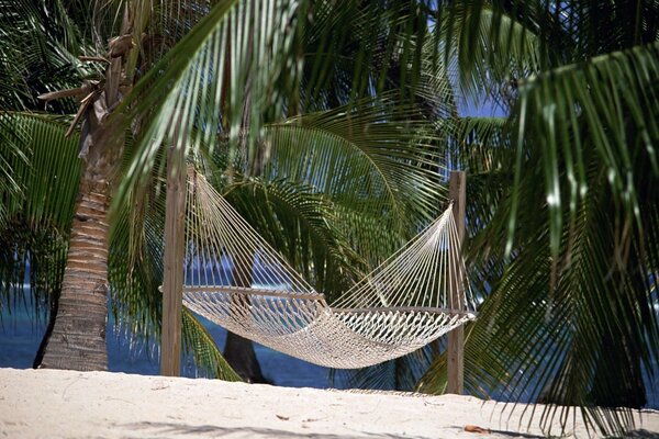 Amaca fatta di fili tra le palme su una spiaggia di sabbia in un angolo paradisiaco del globo