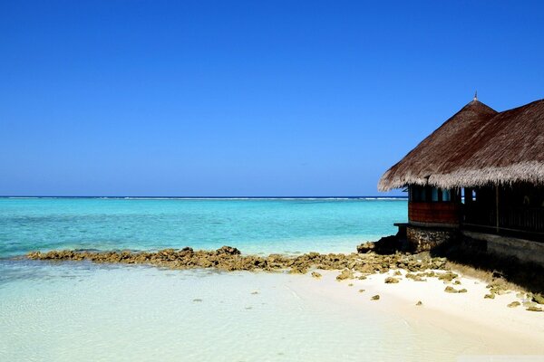 Straw house on a tropical beach