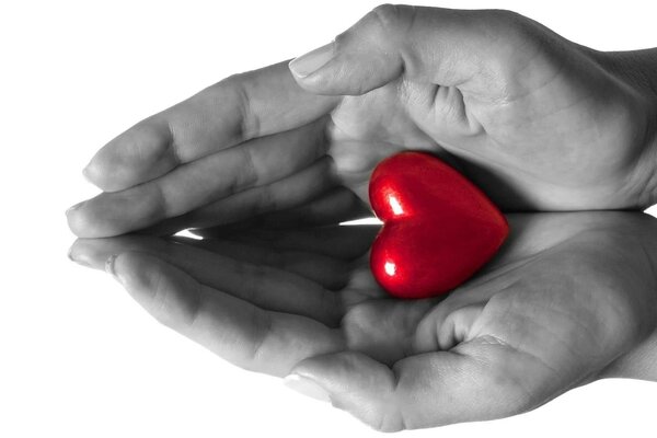 I carry your red heart in my black and white palms