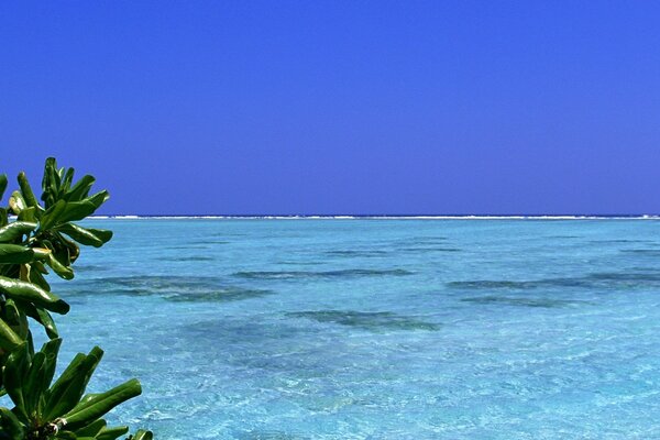 Paysage magnifique, ciel bleu, mer bleue