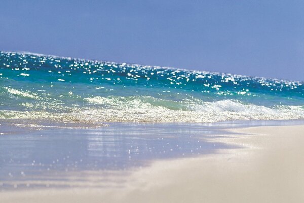 Onde blu sulla riva sabbiosa