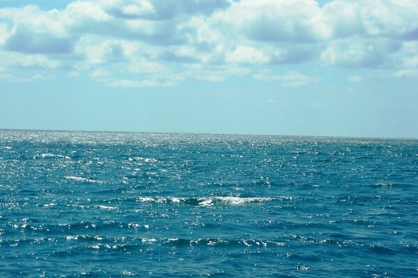 Senza distese d acqua estreme