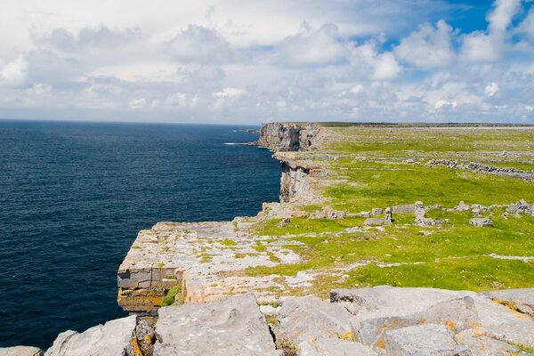 Beautiful landscape on a summer day by the sea