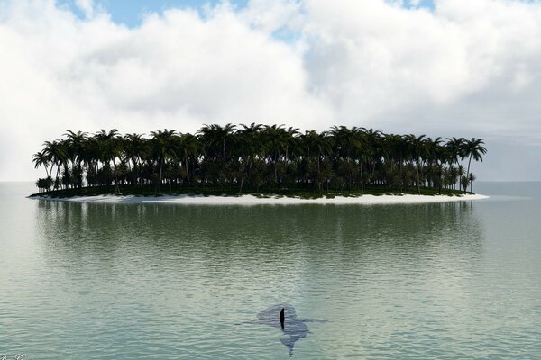 Арт пальмы на острове, к которому плывёт рыба