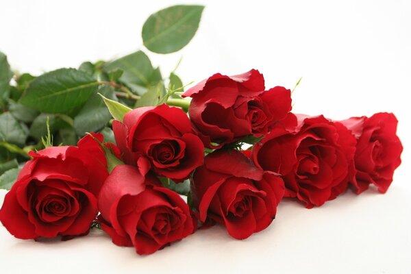 Ramo de rosas con agujas flores de amor