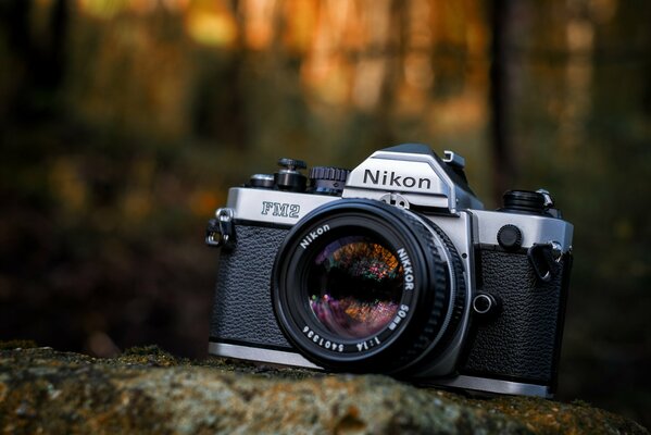 Camera on a stone on a blurry background