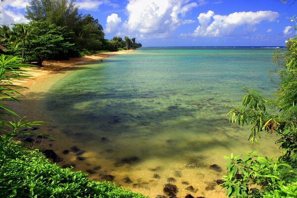 A gorgeous beach with wildlife, silence for a fantastic holiday