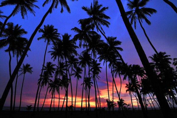 Puesta de sol de color en los países tropicales