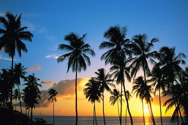 Evening island with a beautiful sunset