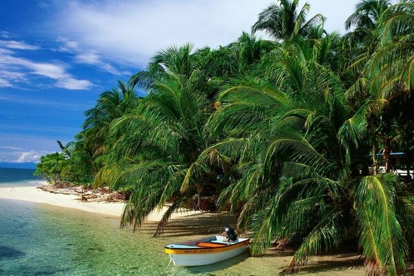 Boat under the long branches of palm trees