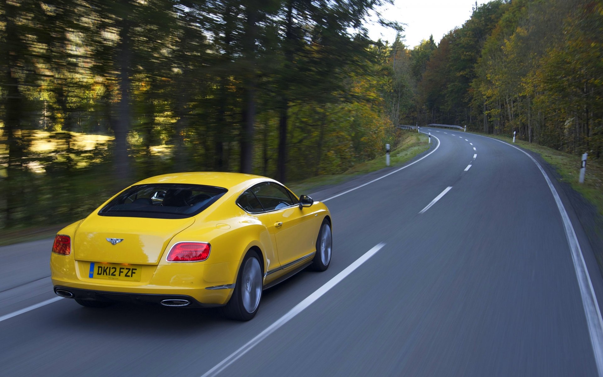 bentley kontinental gt gelb straße in bewegung wald luxus continental