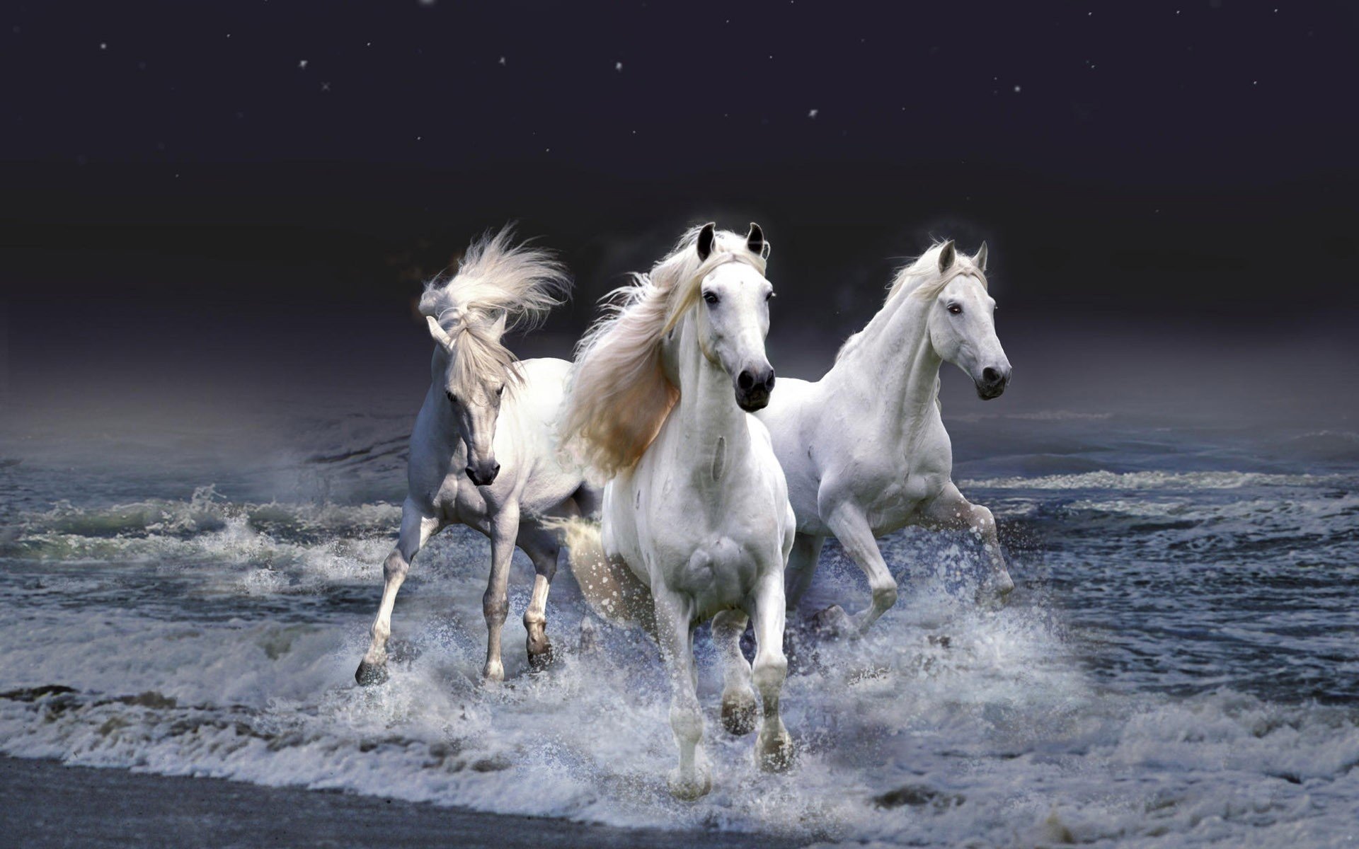 three horses white color sea wave ungulate