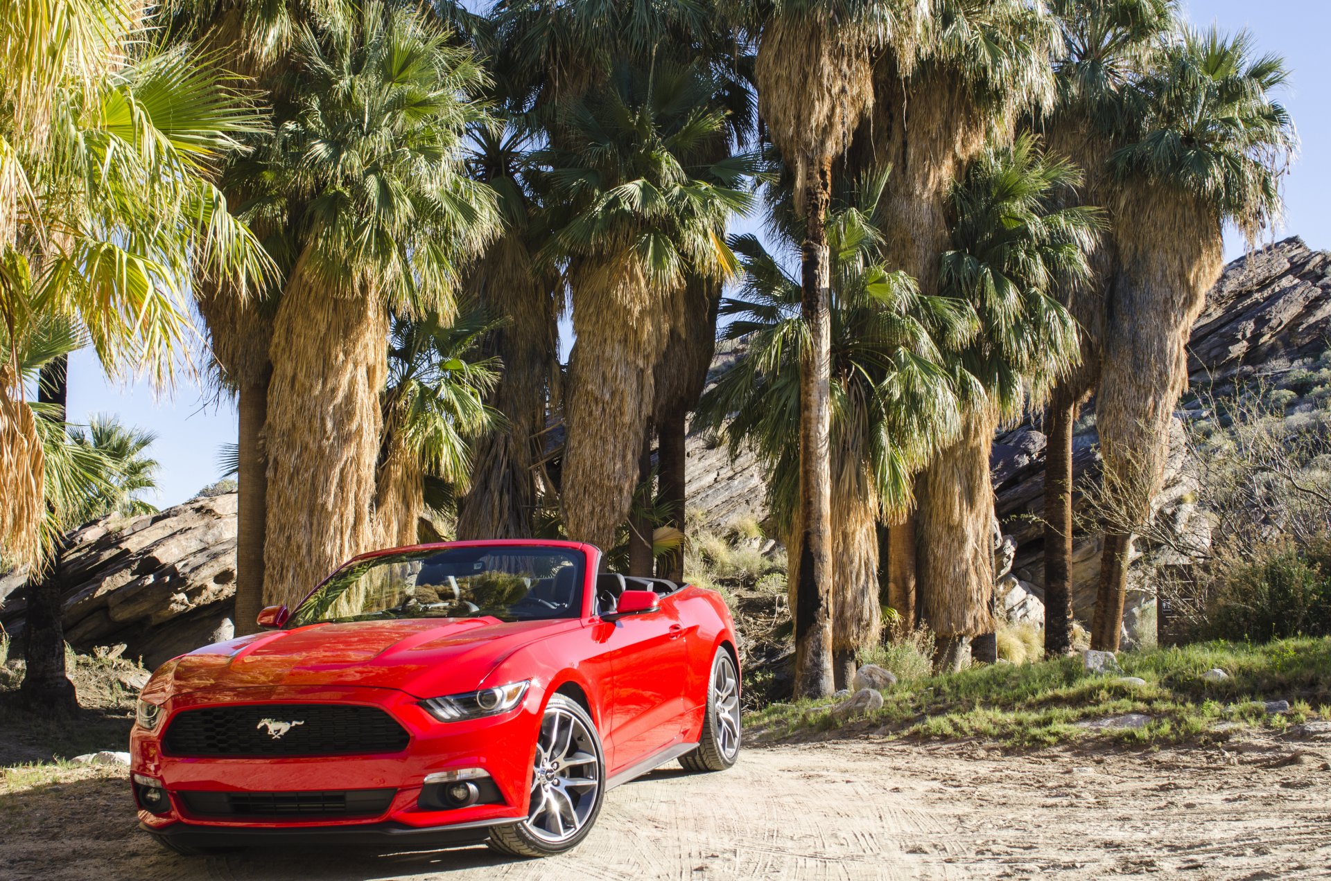 2014 ford mustang kabriolet