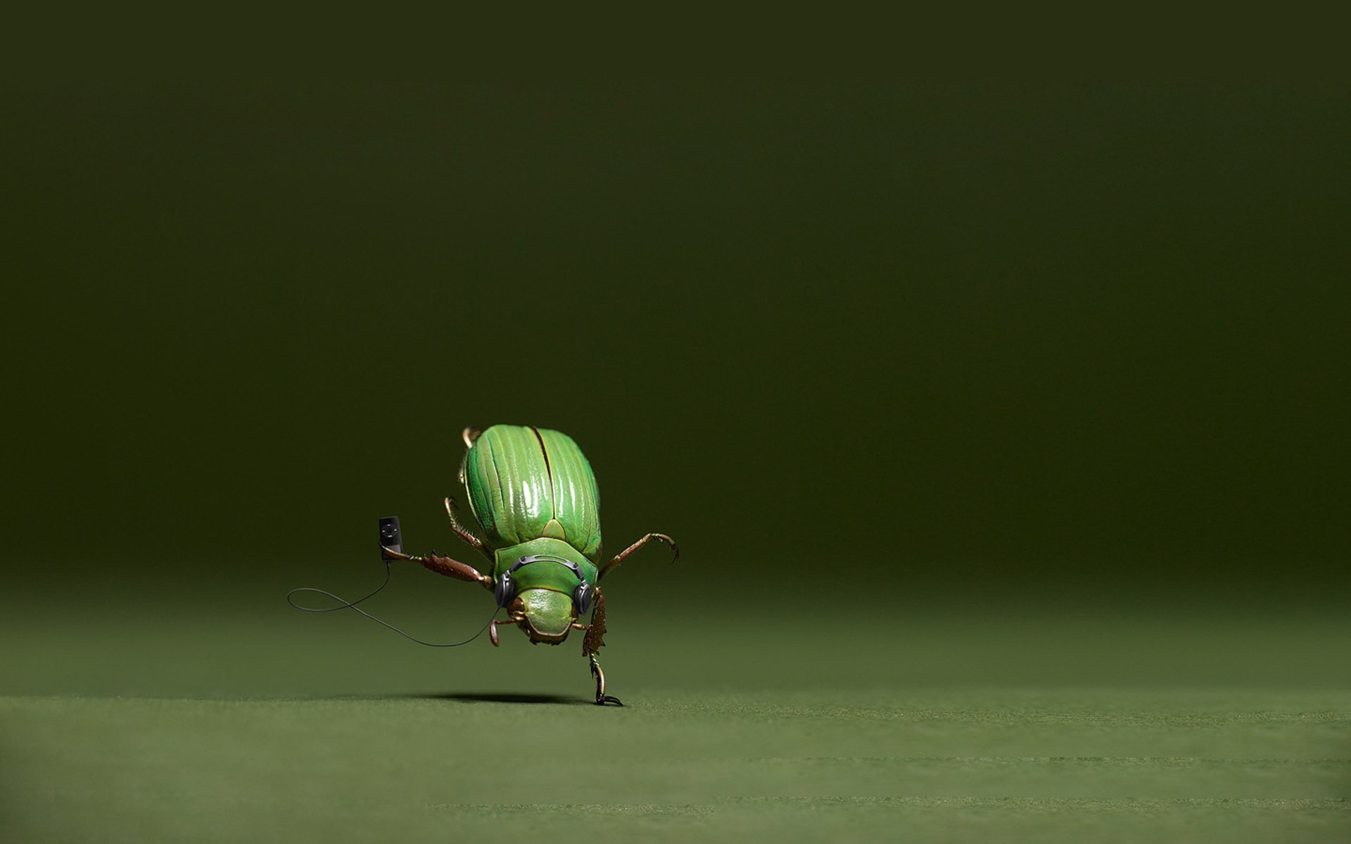 scarabeo verde danza sfondo giocatore genere creativo animali divertimento insetti