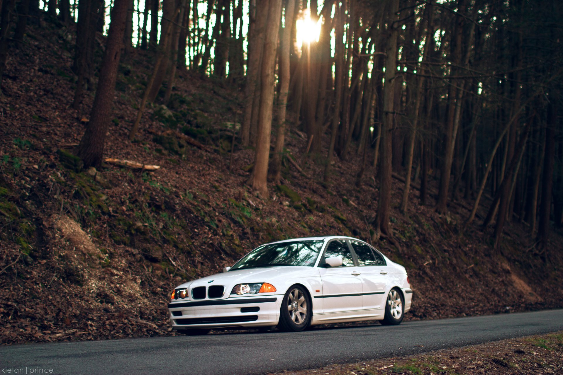 bmw e46 323i bmw serie 3 foresta alberi strada bianco