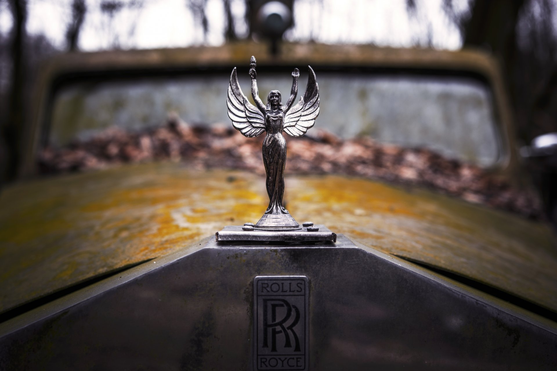 emblema targhetta rolls royce cappuccio retro vecchio arrugginito