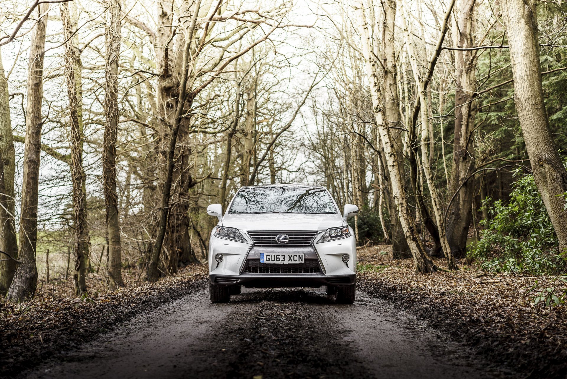 2012 lexus rx 450h f-sport uk-spec lexus forest road