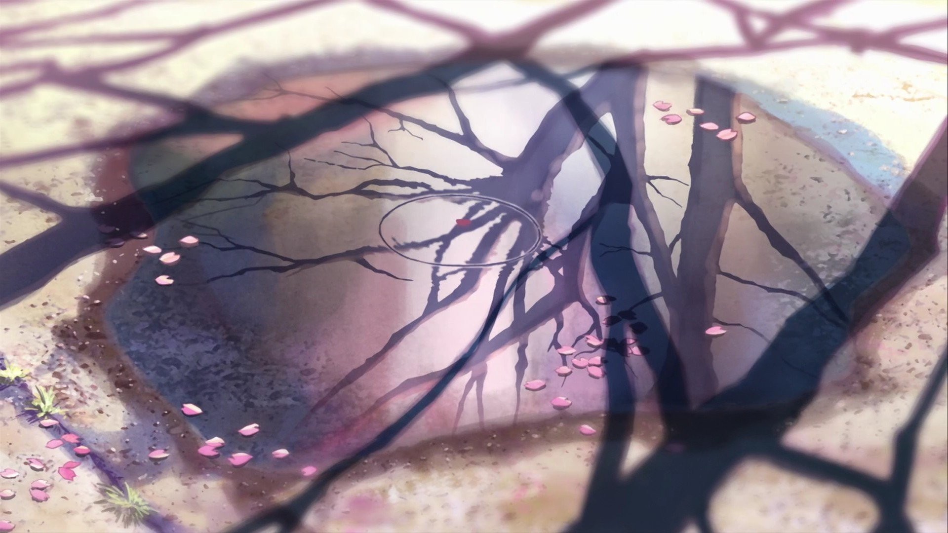 5 centimetri al secondo makoto shinkai riflessione foglie di sakura