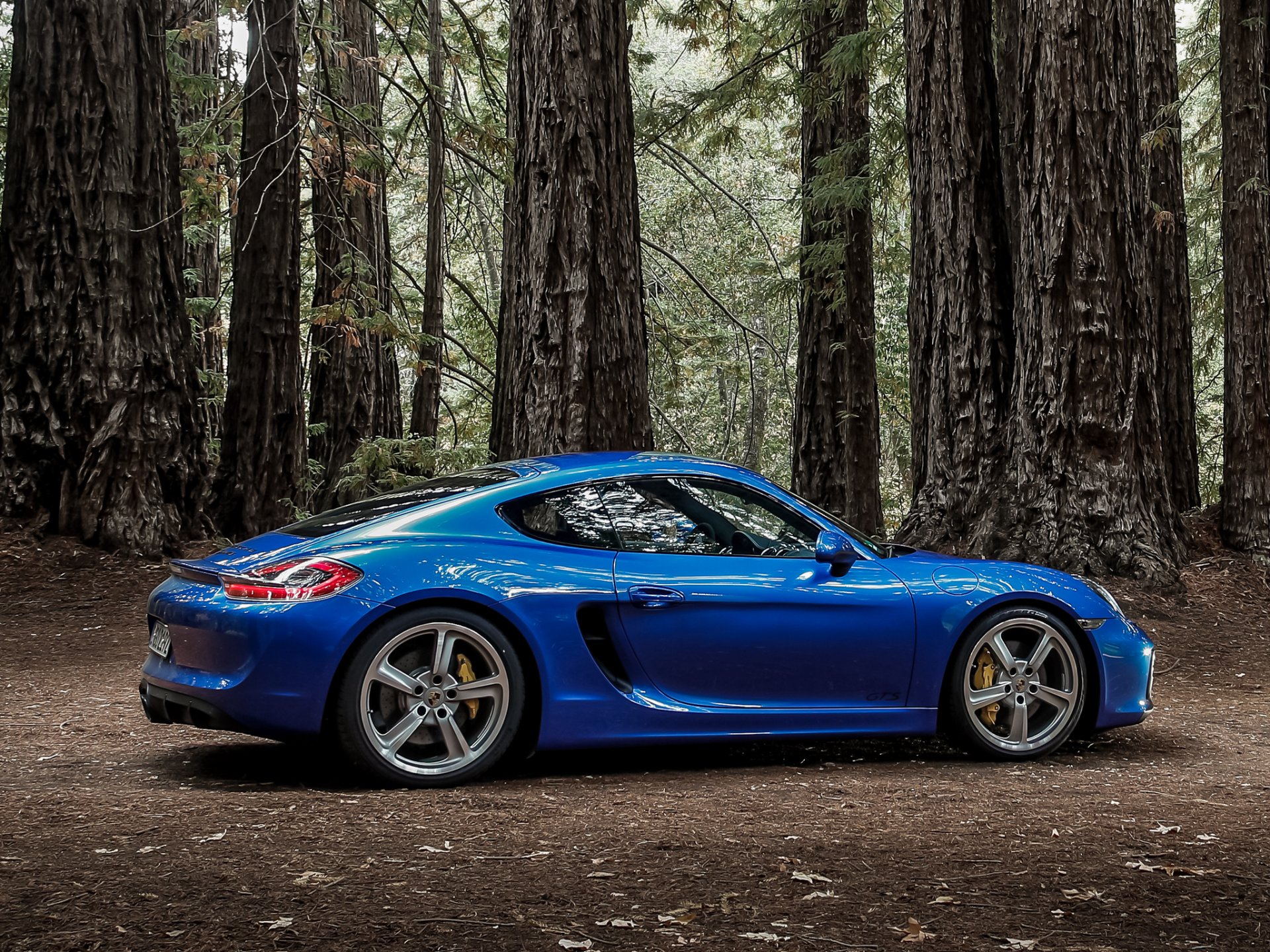 2014 porsche cayman gts porsche cayman