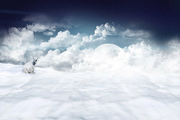 Polar bear sits on white snow against the background of the moon and clouds