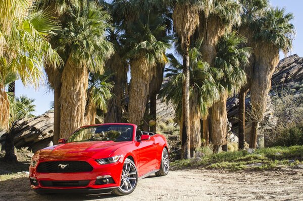 Czerwony kabriolet Ford Mustang 2014