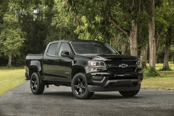 In the woods in the twilight Chevrolet Colorado