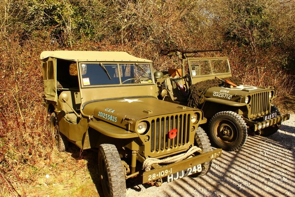 Willis-MB Army vehicles from World War II