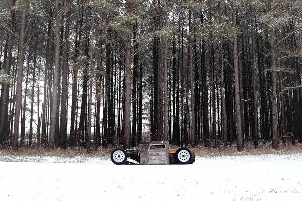 An unusual car is parked near the forest