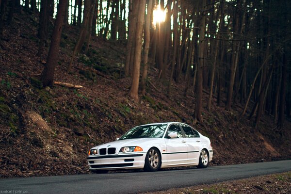 White BMW 3 series on a background of trees