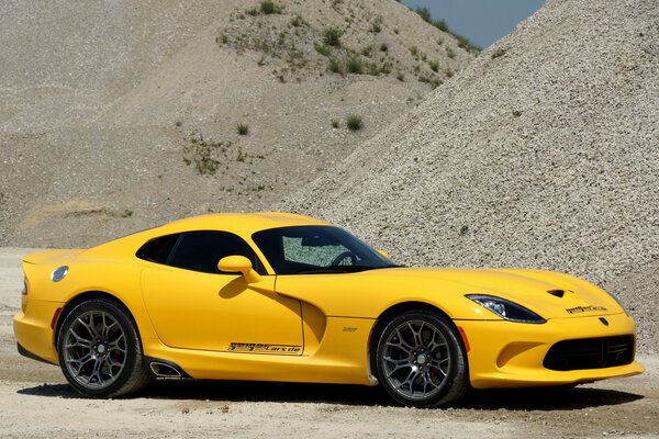 Geiger cent Viper 2013 Viper