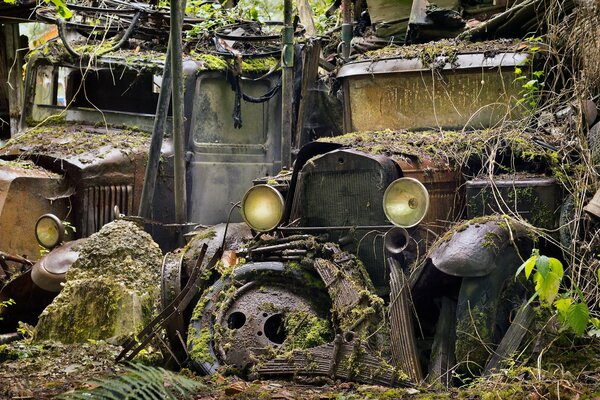 Maschinen im Metallwerk, mit Moos bewachsen