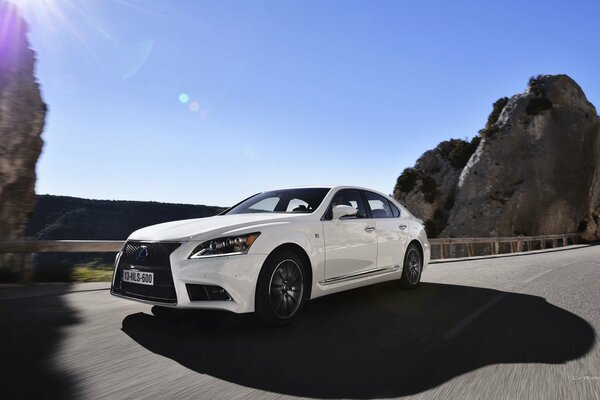 Coche lexus ls Premium blanco-UE