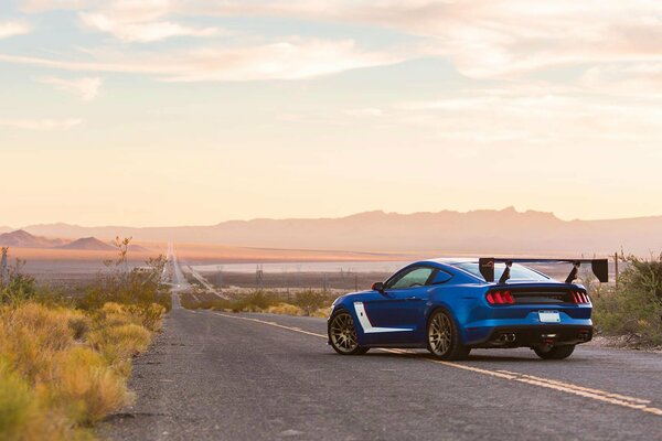 Ford Mustang car on the road