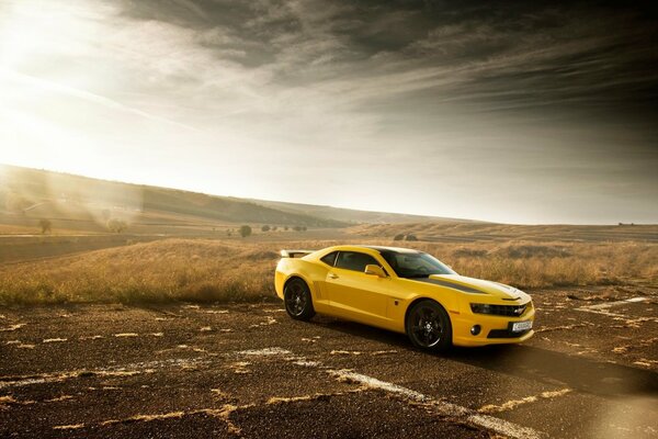 Chevrolet jaune-conquérir les routes du désert. 
